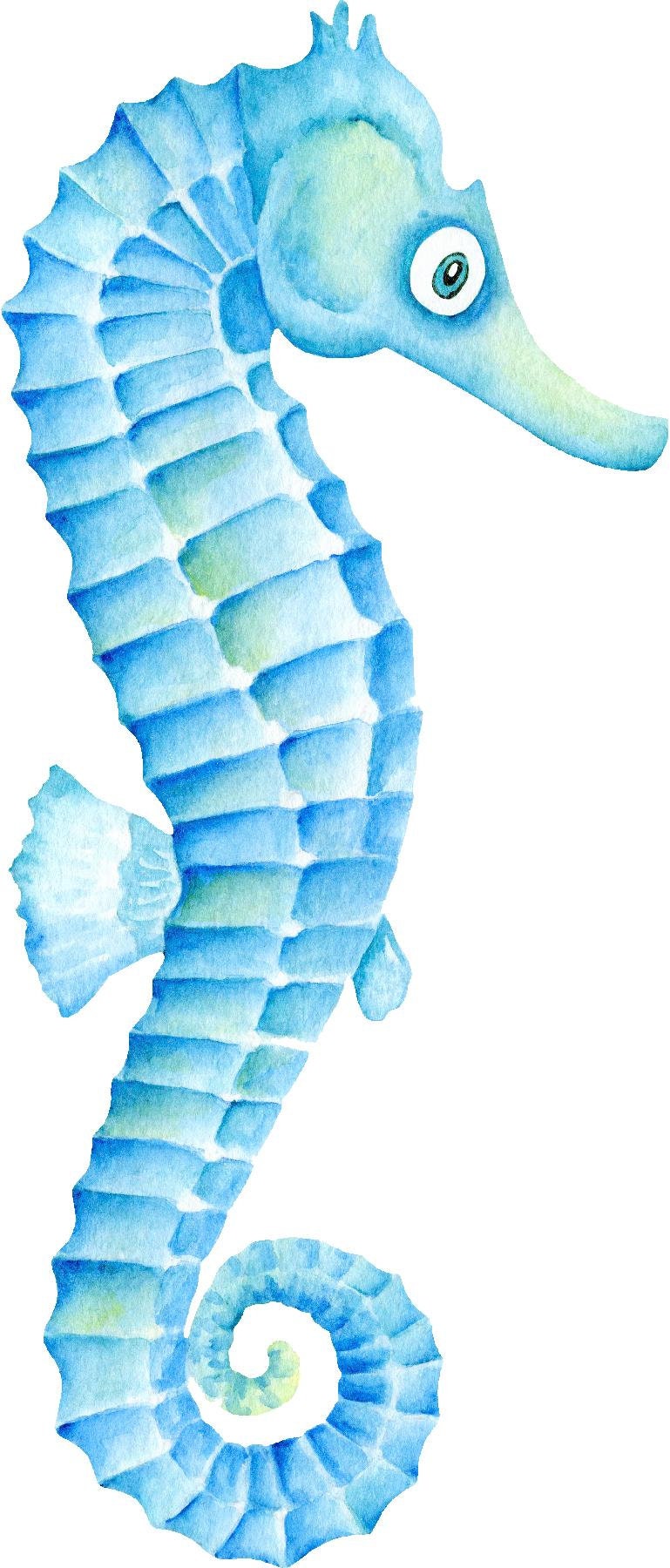 Baby Seahorse Wall Decal Fish Ocean Sea Life Removable Fabric Wall Sticker