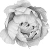 Black & White Peony #5 Removable Wall Decal Individual Blooming Peonies Baby Girl Room Nursery Decor - Customize your own Wall Sticker Set