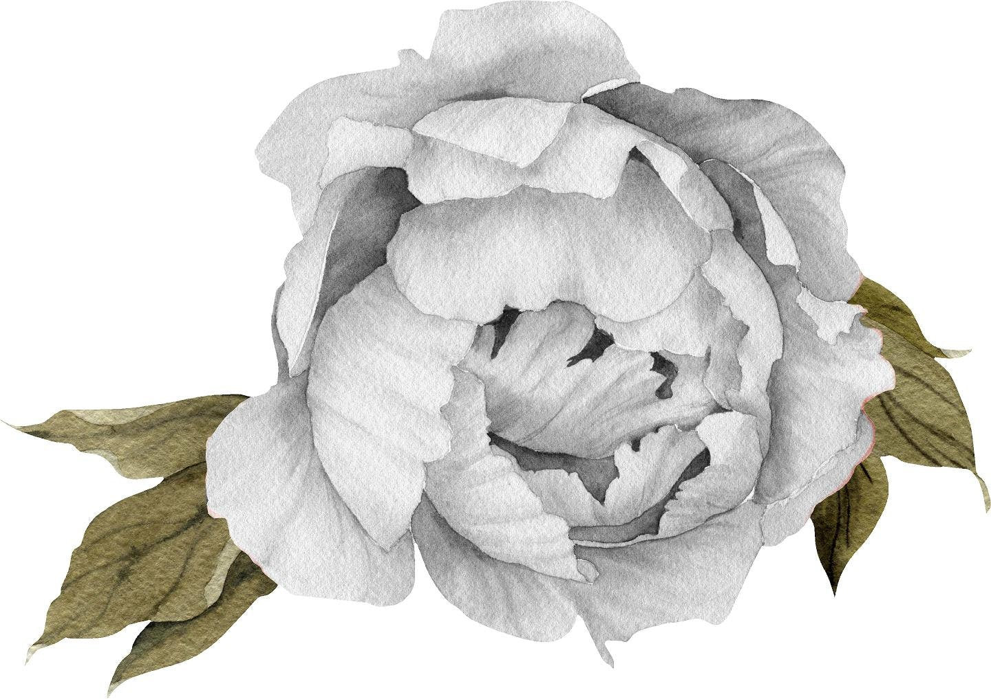 Black & White Peony #6 Leaves Removable Wall Decal Individual Peonies Baby Girl Room Nursery Decor - Customize your own Wall Sticker Set