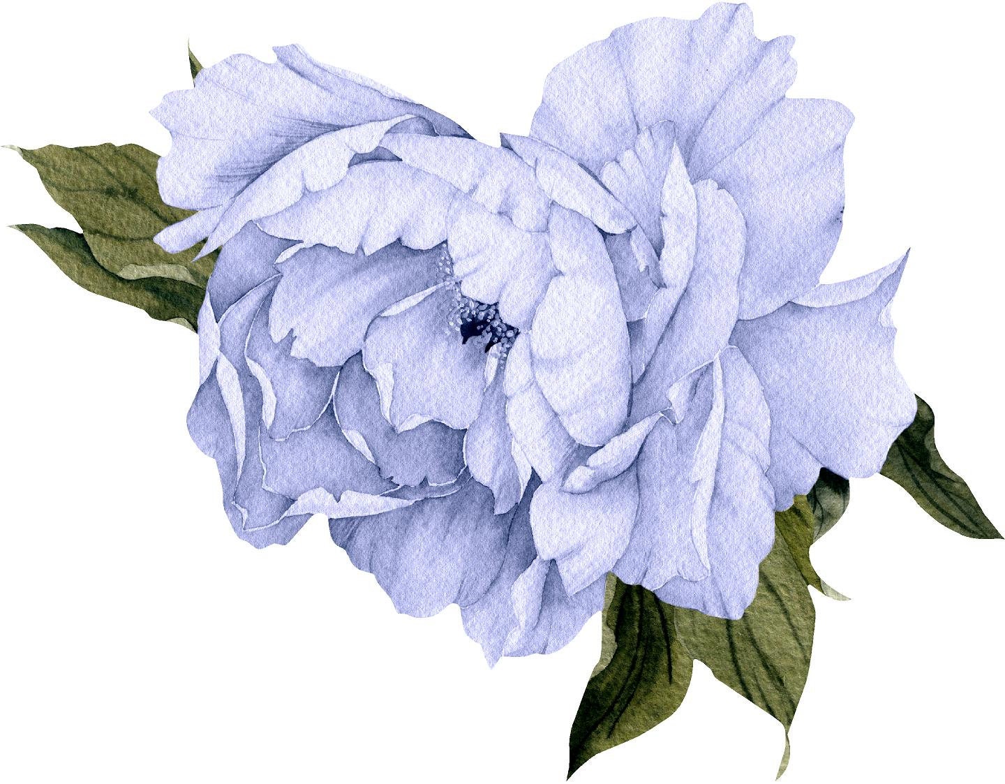 Blue Peony #14 Leaves Removable Wall Decal Individual Blooming Peonies Baby Girl Room Nursery Decor - Customize your own Wall Sticker Set