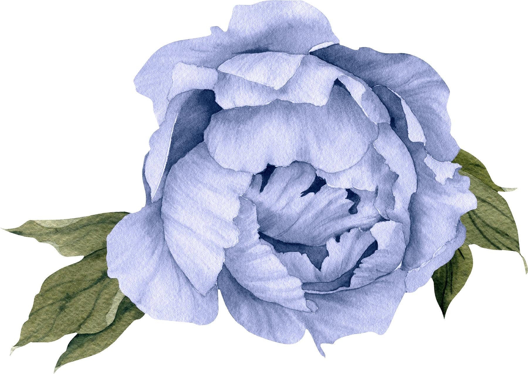 Blue Peony #12 Leaves Removable Wall Decal Individual Blooming Peonies Baby Girl Room Nursery Decor - Customize your own Wall Sticker Set