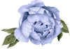Blue Peony #12 Leaves Removable Wall Decal Individual Blooming Peonies Baby Girl Room Nursery Decor - Customize your own Wall Sticker Set