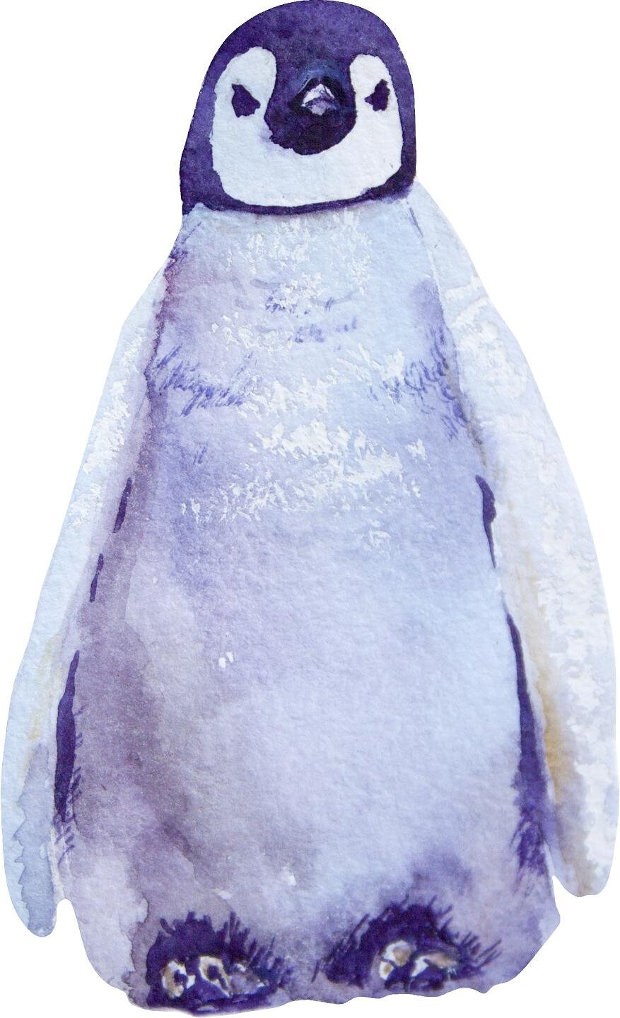 Baby Penguin Wall Decal Arctic Bird Ocean Sea Life Removable Fabric Wall Sticker
