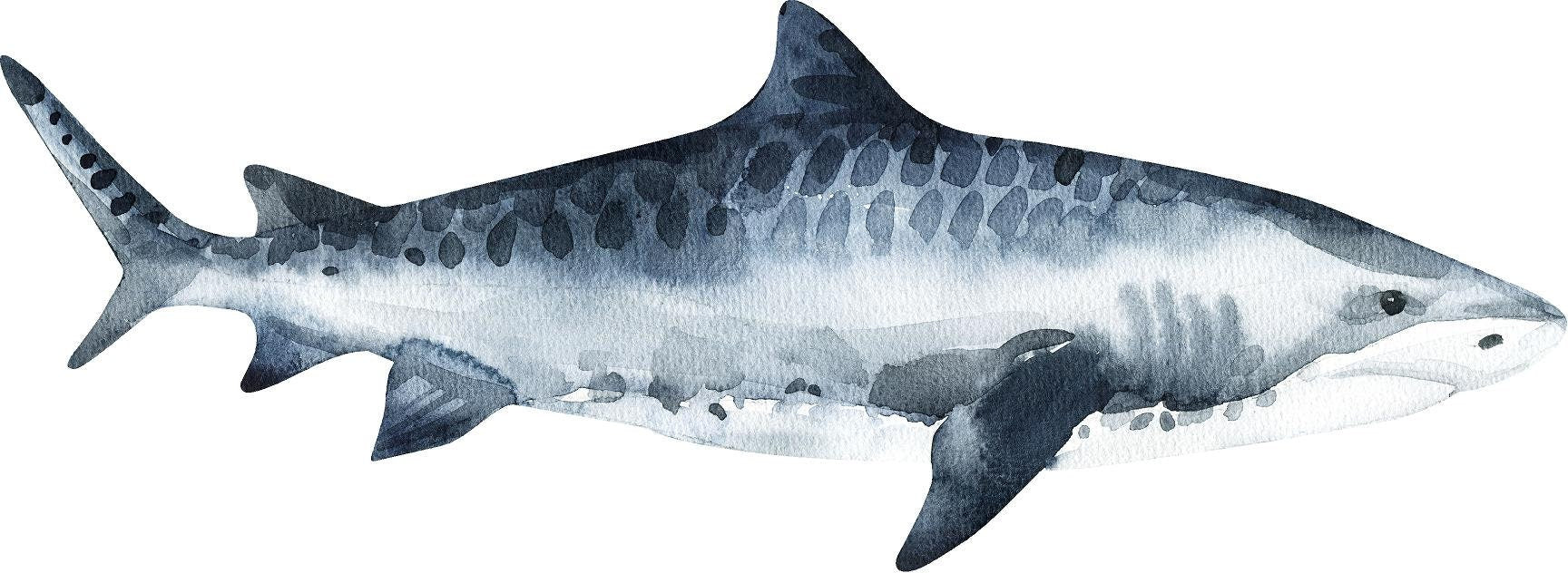 Watercolor Tiger Shark Wall Decal Ocean Sea Life Removable Fabric Wall Sticker