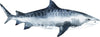 Watercolor Tiger Shark Wall Decal Ocean Sea Life Removable Fabric Wall Sticker