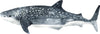 Watercolor Whale Shark #2 Wall Decal Ocean Sea Life Removable Fabric Wall Sticker