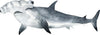 Hammerhead Shark 2 Wall Decal | Ocean Collection