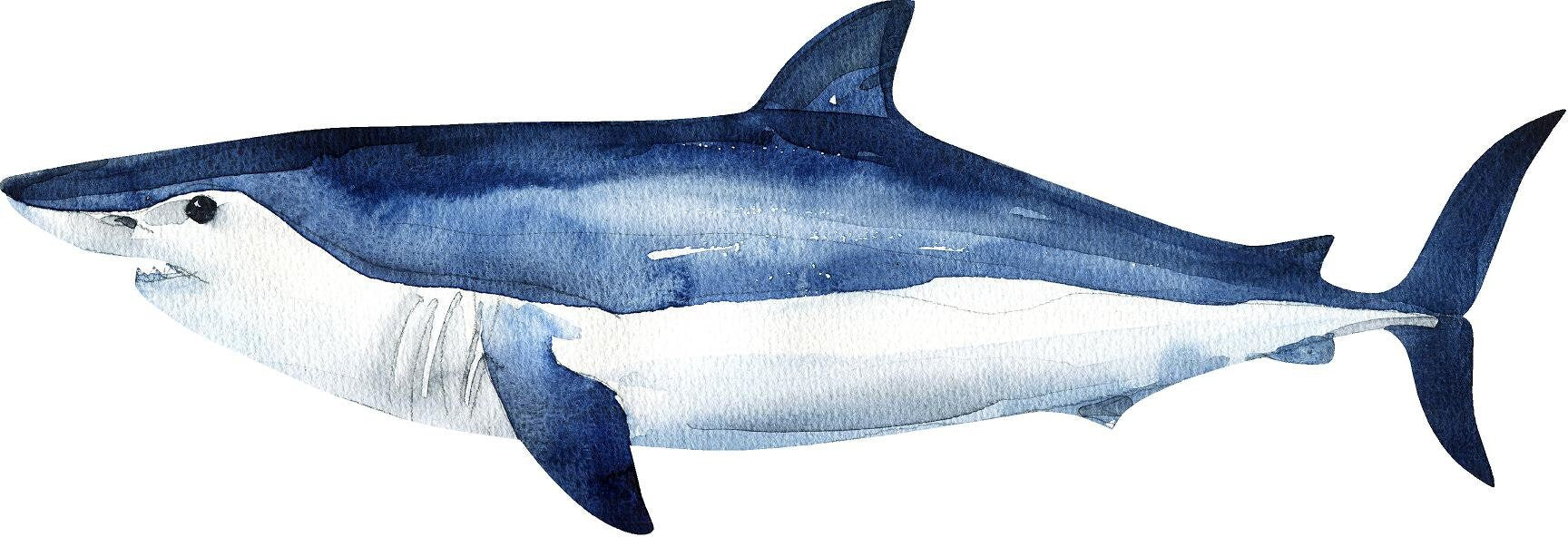 Watercolor Shortfin Mako Shark Wall Decal Ocean Sea Life Removable Fabric Wall Sticker