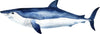 Watercolor Shortfin Mako Shark Wall Decal Ocean Sea Life Removable Fabric Wall Sticker