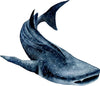 Watercolor Whale Shark #3 Wall Decal Ocean Sea Life Removable Fabric Wall Sticker