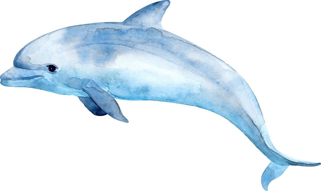 Blue Dolphin Wall Decal Ocean Sea Life Removable Fabric Wall Sticker