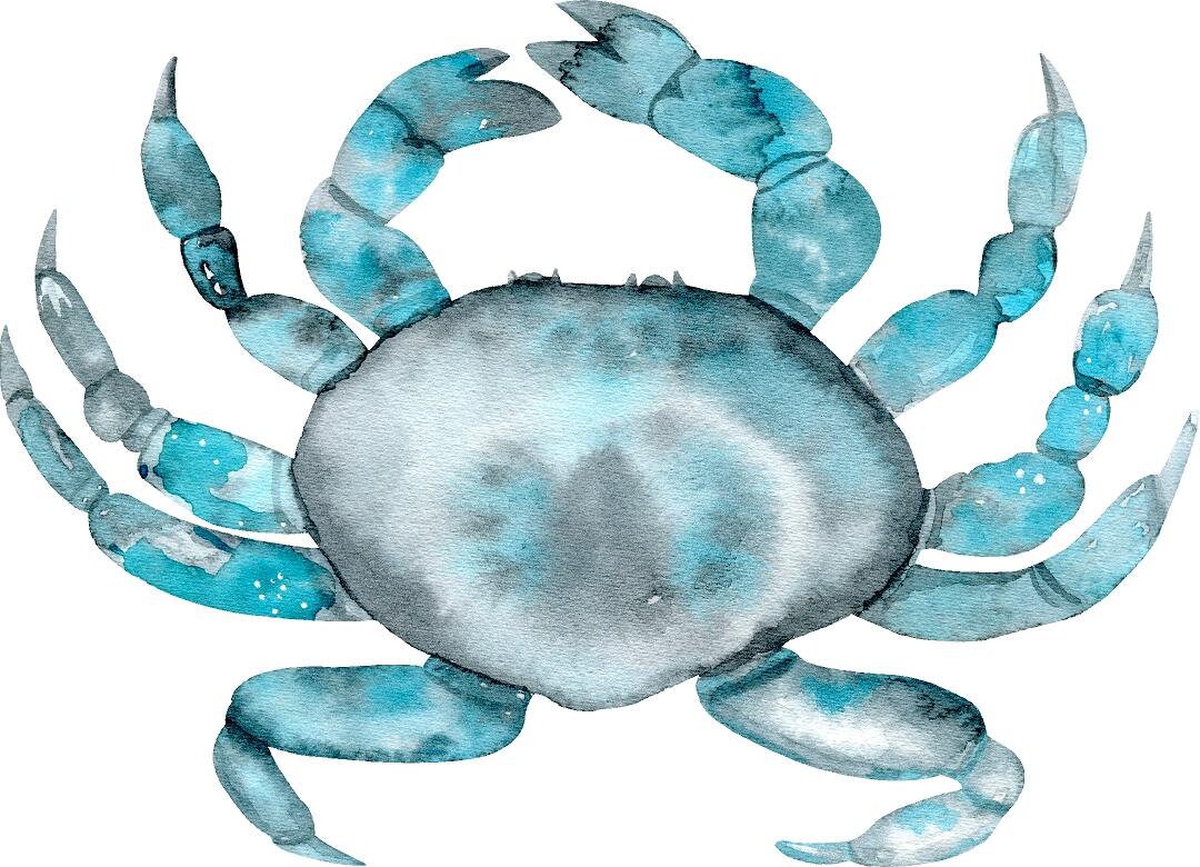 Blue Crab Wall Decal Ocean Sea Life Removable Fabric Wall Sticker