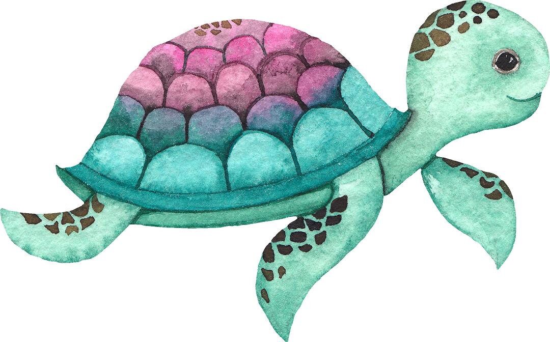 Aqua Pink Sea Turtle Wall Decal Ocean Sea Life Removable Fabric Wall Sticker