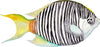 Zebra Angelfish Wall Decal Tropical Fish Ocean Sea Life Removable Fabric Wall Sticker