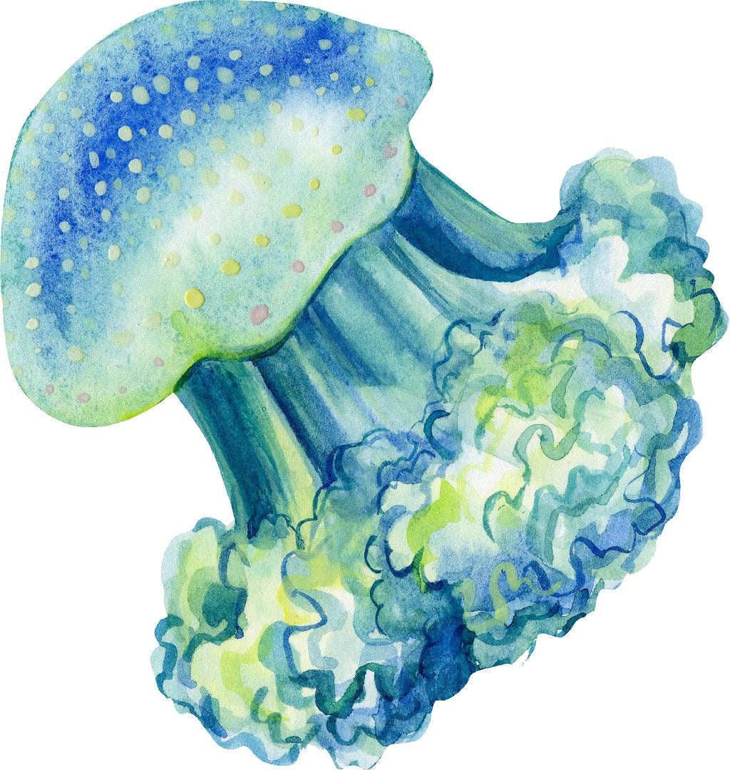 Blue Green Jellyfish Wall Decal Ocean Sea Life Removable Fabric Wall Sticker
