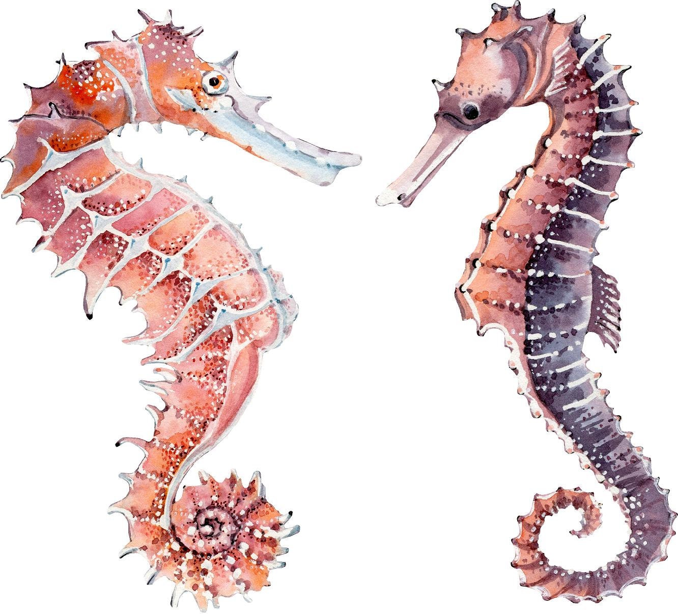 Whimsical Seahorse Wall Decal Set of 2 Ocean Sea Life Removable Fabric Wall Sticker