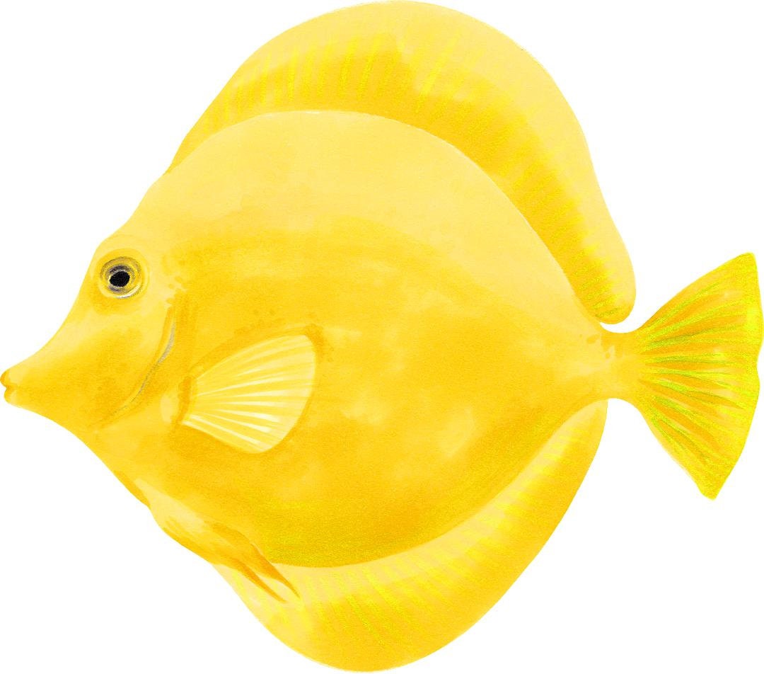 Yellow Tang Fish Wall Decal Tropical Fish Ocean Sea Life Removable Fabric Wall Sticker