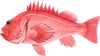 Red Sea Bass Fish Wall Decal Ocean Sea Life Removable Fabric Wall Sticker