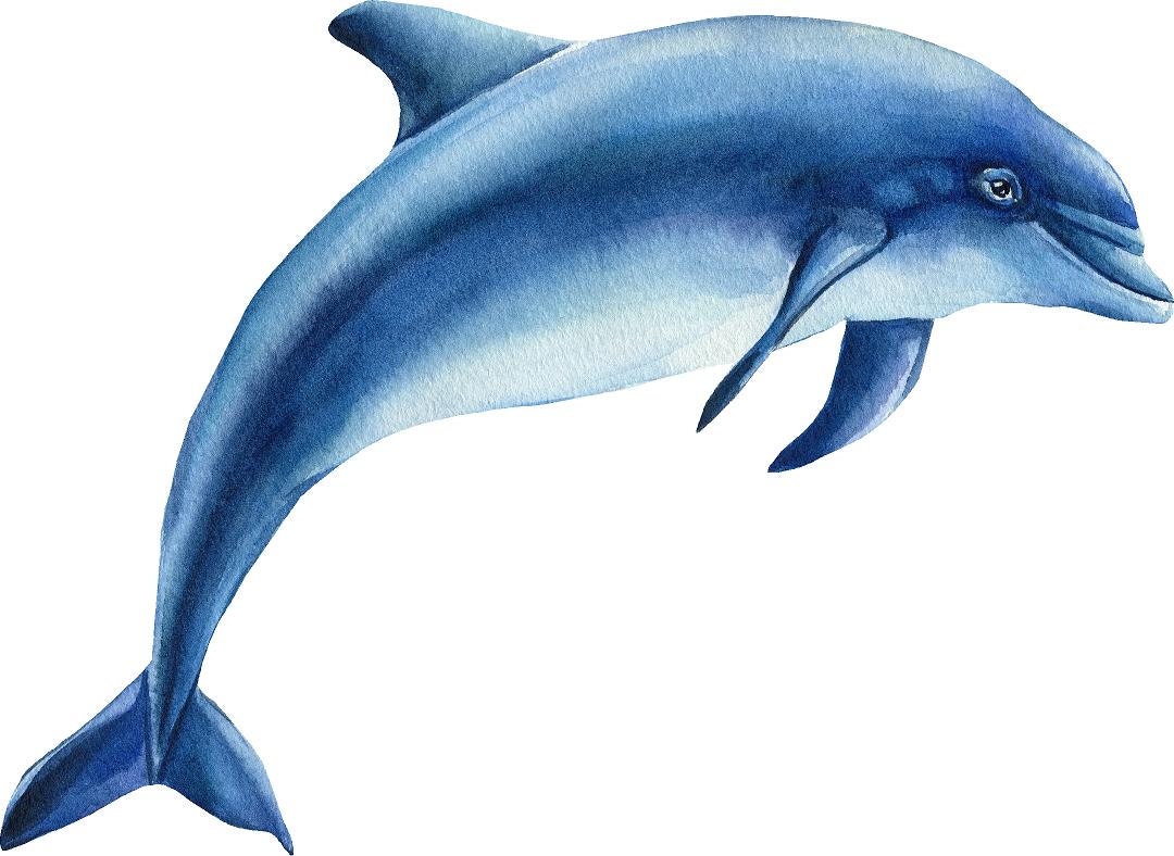 Blue Dolphin #2 Wall Decal Ocean Sea Life Removable Fabric Wall Sticker