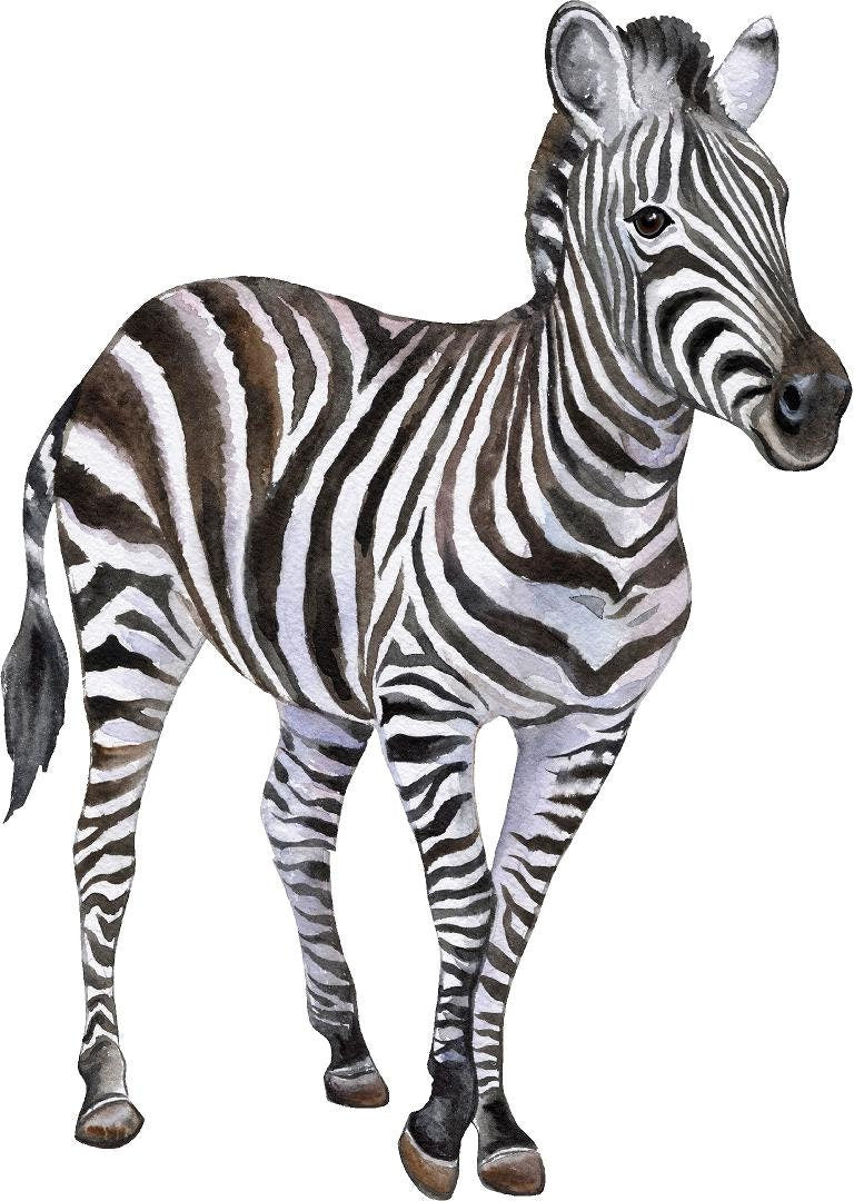 Zebra #2 Wall Decal Safari Animal Wall Sticker Removable Fabric  for Childrens African Safari Kids Peel & Stick Nursery Room Decor