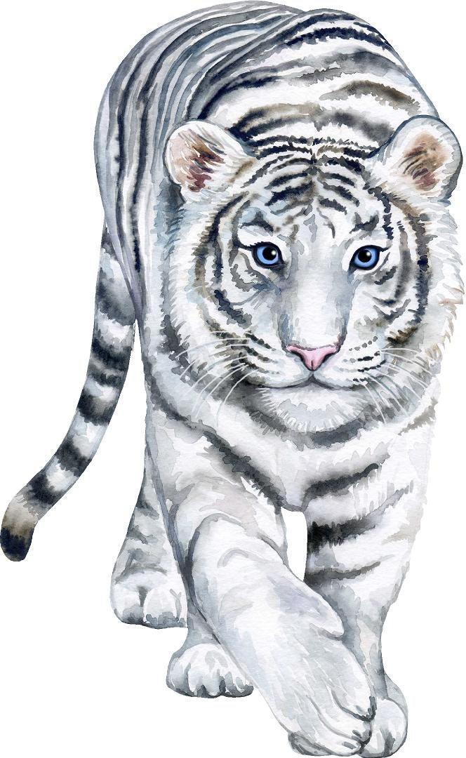 White Tiger Wall Decal Safari Animal Wall Sticker Removable Fabric  for Childrens African Safari Kids Peel & Stick Nursery Room Decor