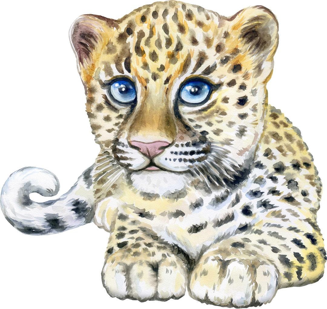 Baby Leopard Cub #2 Wall Decal Safari Animal Wall Sticker Removable Fabric  for Childrens African Safari Kids Nursery Room Decor