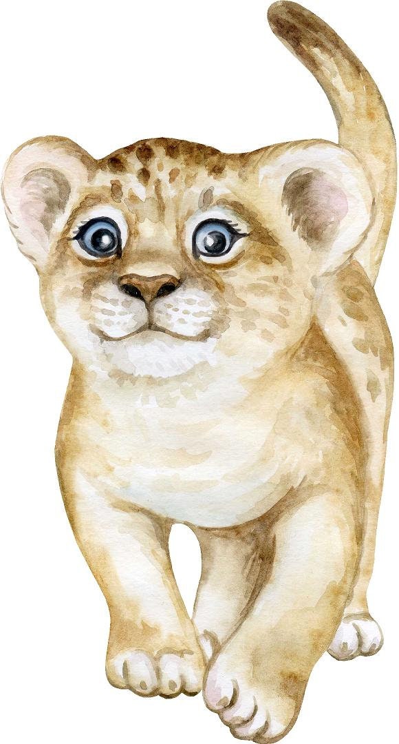 Baby Lion Cub #2 Wall Decal Safari Animal Wall Sticker Removable Fabric  Childrens African Safari Kids Peel Stick Nursery Room Decor