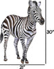 Zebra #2 Wall Decal Safari Animal Wall Sticker Removable Fabric  for Childrens African Safari Kids Peel & Stick Nursery Room Decor