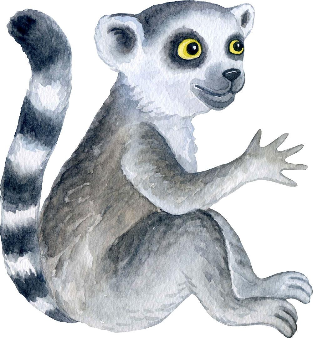 Baby Lemur Wall Decal Safari Animal Wall Sticker Removable Fabric  for Childrens African Safari Kids Peel & Stick Nursery Room Decor