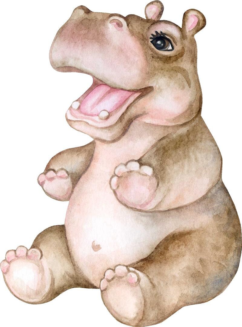 Baby Hippo Wall Decal Safari Animal Wall Sticker Removable Fabric  for Childrens African Safari Kids Peel & Stick Nursery Room Decor