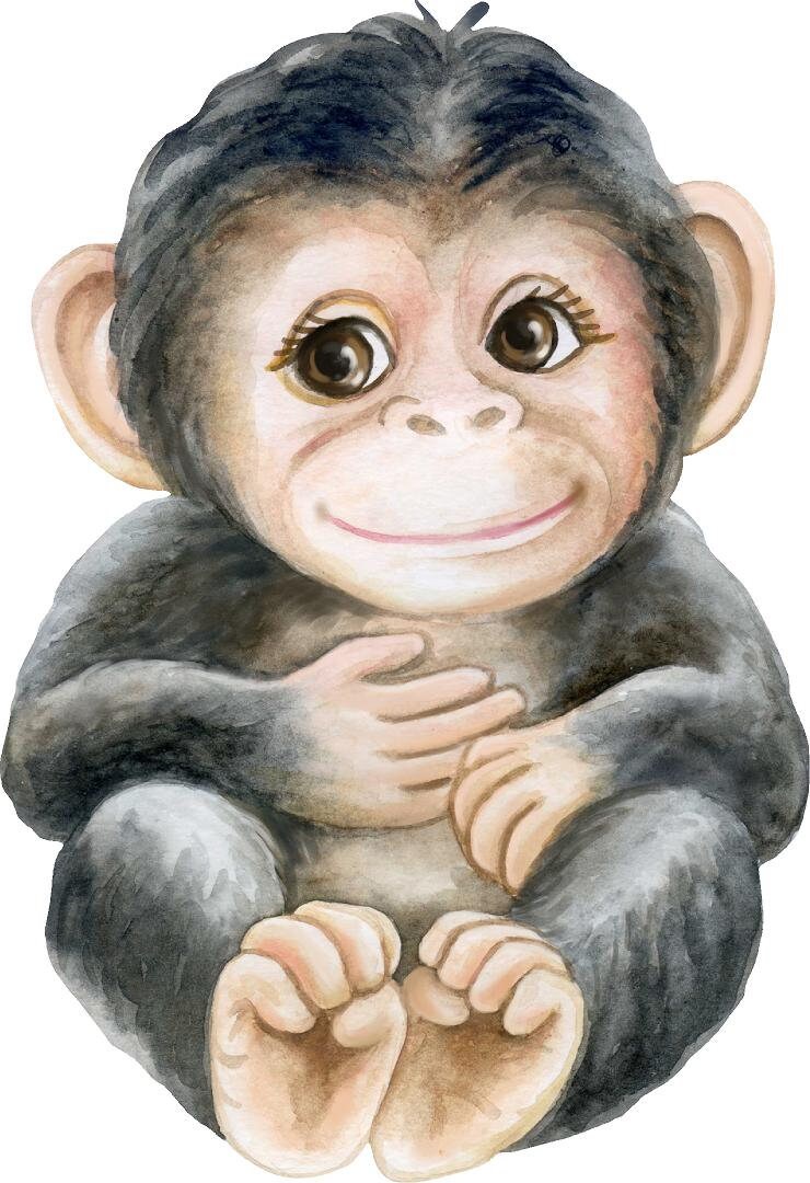 Baby Monkey Wall Decal Safari Animal Wall Sticker Removable Fabric  for Childrens African Safari Kids Peel & Stick Nursery Room Decor