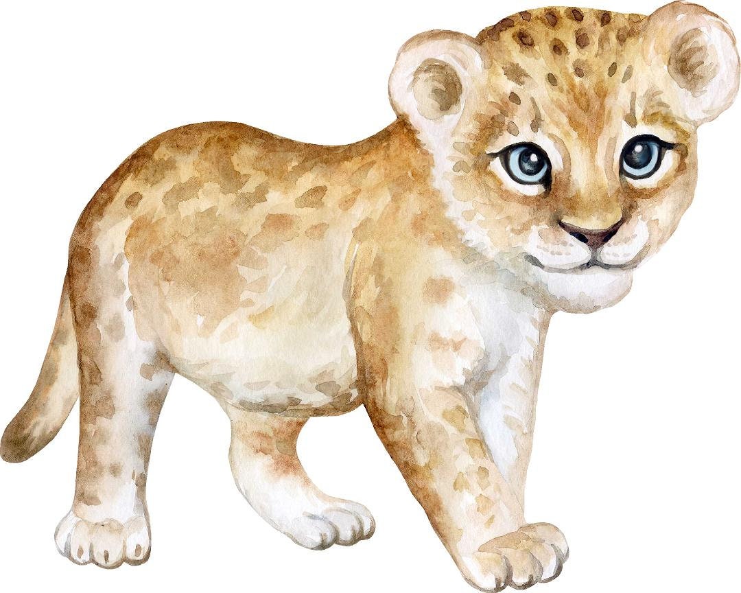 Baby Lion Cub #1 Wall Decal Safari Animal Wall Sticker Removable Fabric  Childrens African Safari Kids Peel Stick Nursery Room Decor