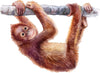 Baby Orangutan Wall Decal Safari Animal Wall Sticker Removable Fabric  for Childrens African Monkey Safari Kids Nursery Room Decor