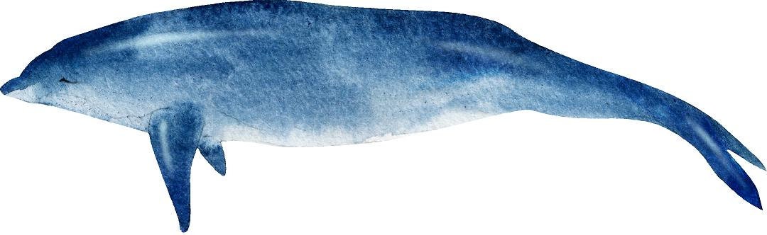 Blue Dolphin #3 Wall Decal Watercolor Ocean Sea Life Removable Fabric Wall Sticker