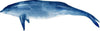 Blue Dolphin #3 Wall Decal Watercolor Ocean Sea Life Removable Fabric Wall Sticker