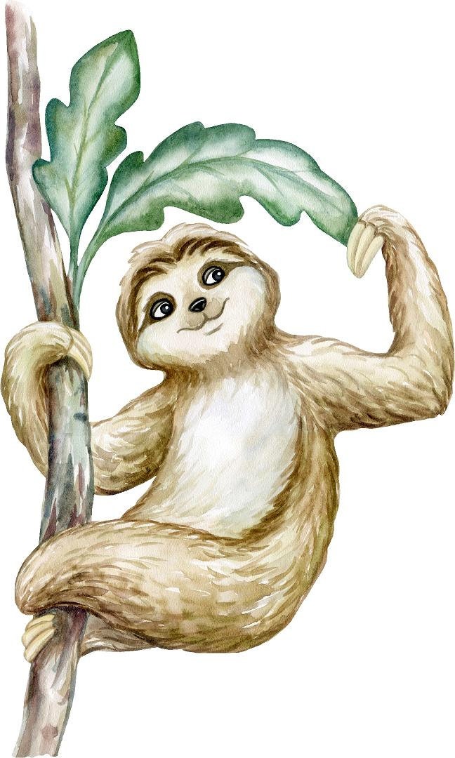 Sloth #4 Wall Decal Tropical Rain Forest Animal Wall Sticker Removable Fabric  Jungle Safari Kids Peel & Stick Nursery Decor