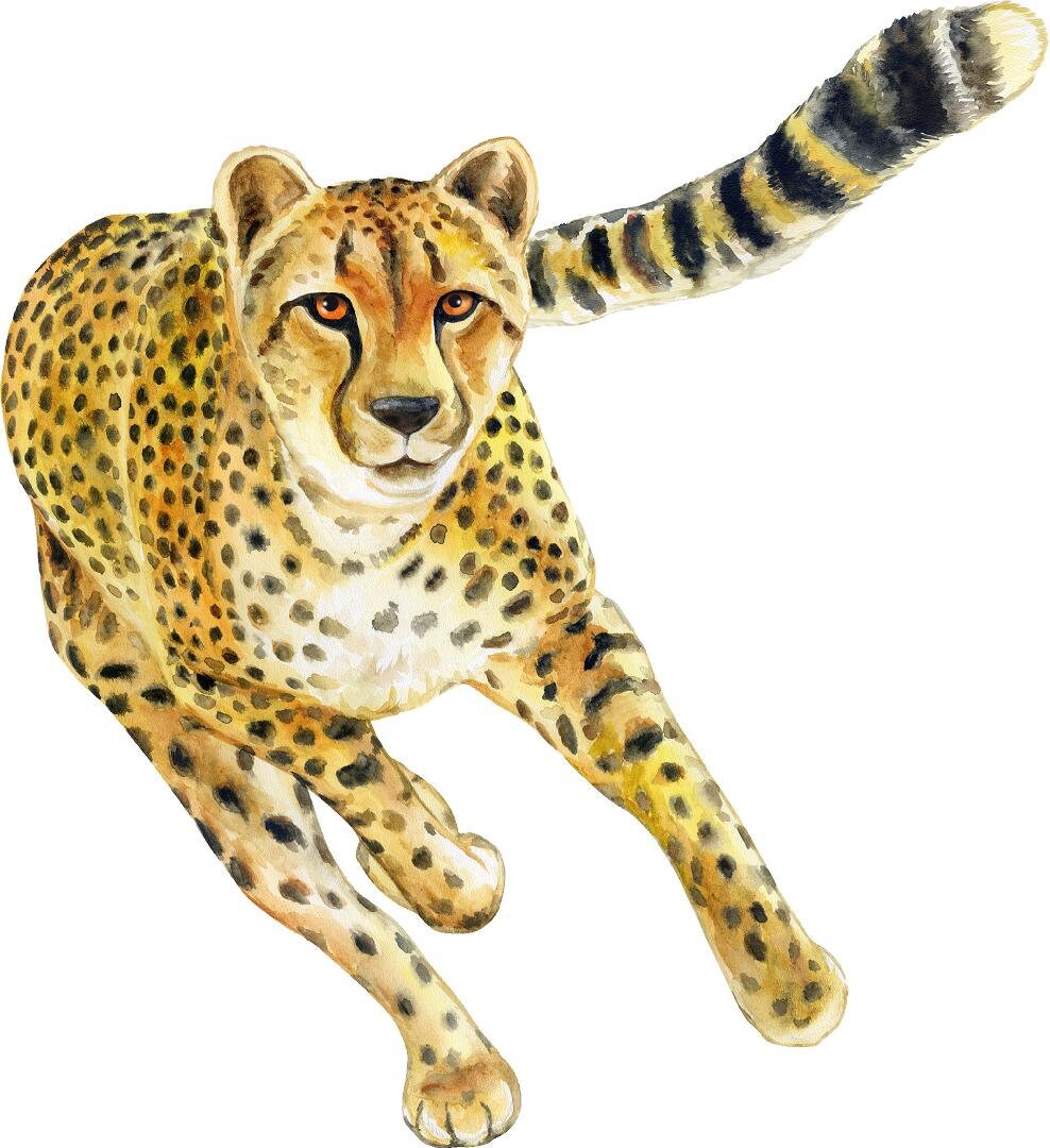Cheetah #4 Wall Decal African Safari Animal Wild Cat Running Removable Fabric  Wall Sticker
