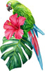 Green Macaw Parrot Hibiscus Flower & Monstera Leaf Wall Decal Mural Rainforest Safari Removable Fabric  Wall Sticker