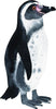 Humboldt Penguin Wall Decal Arctic Bird Ocean Sea Life Removable Fabric Wall Sticker