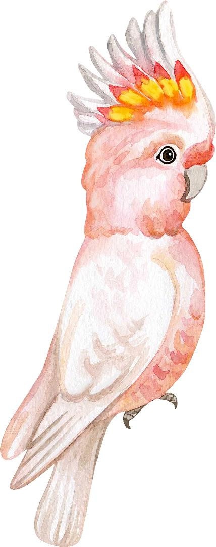 Baby Pink Cockatoo Parrot Wall Decal Tropical Bird Removable Fabric Wall Sticker