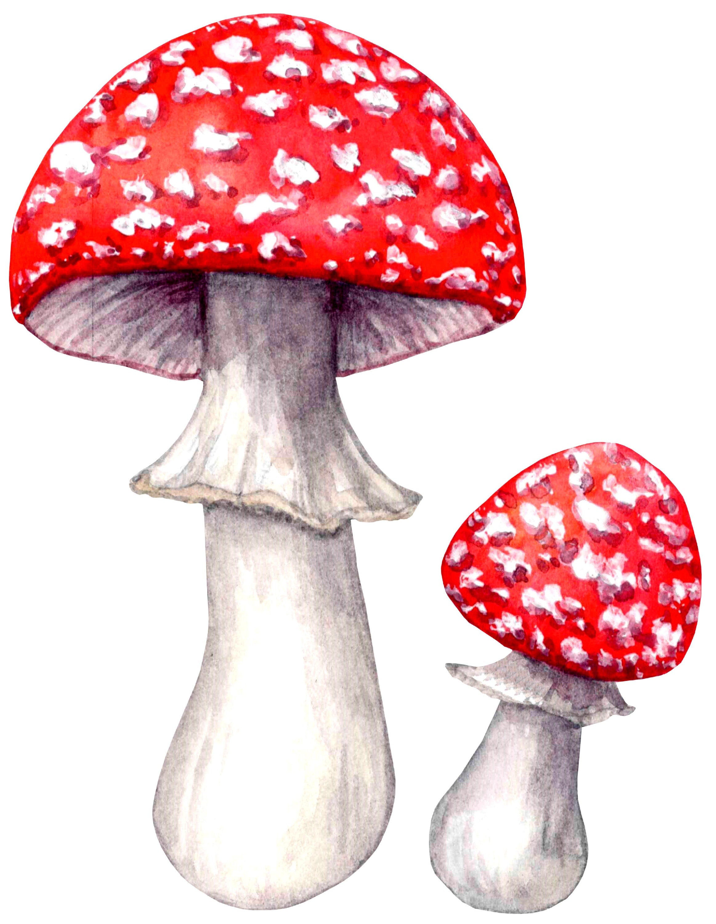 Whimsical Red Mushrooms Wall Decal Watercolor Woodland Forest Life Fabric Wall Sticker