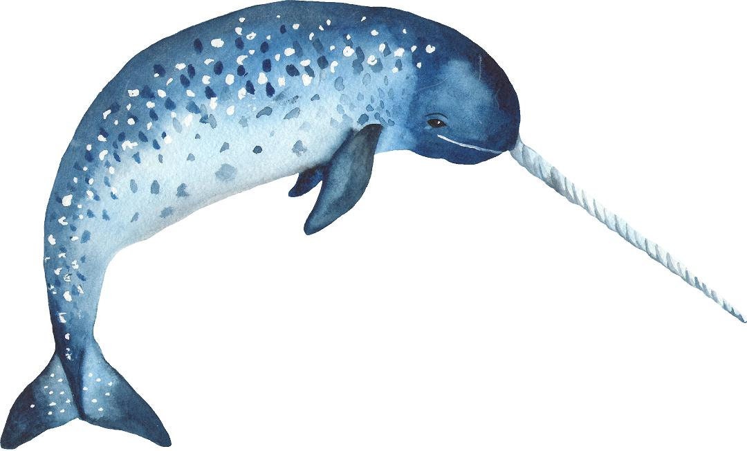 Blue Narwhal Wall Decal Whale Ocean Sea Life Animal Removable Fabric Wall Sticker