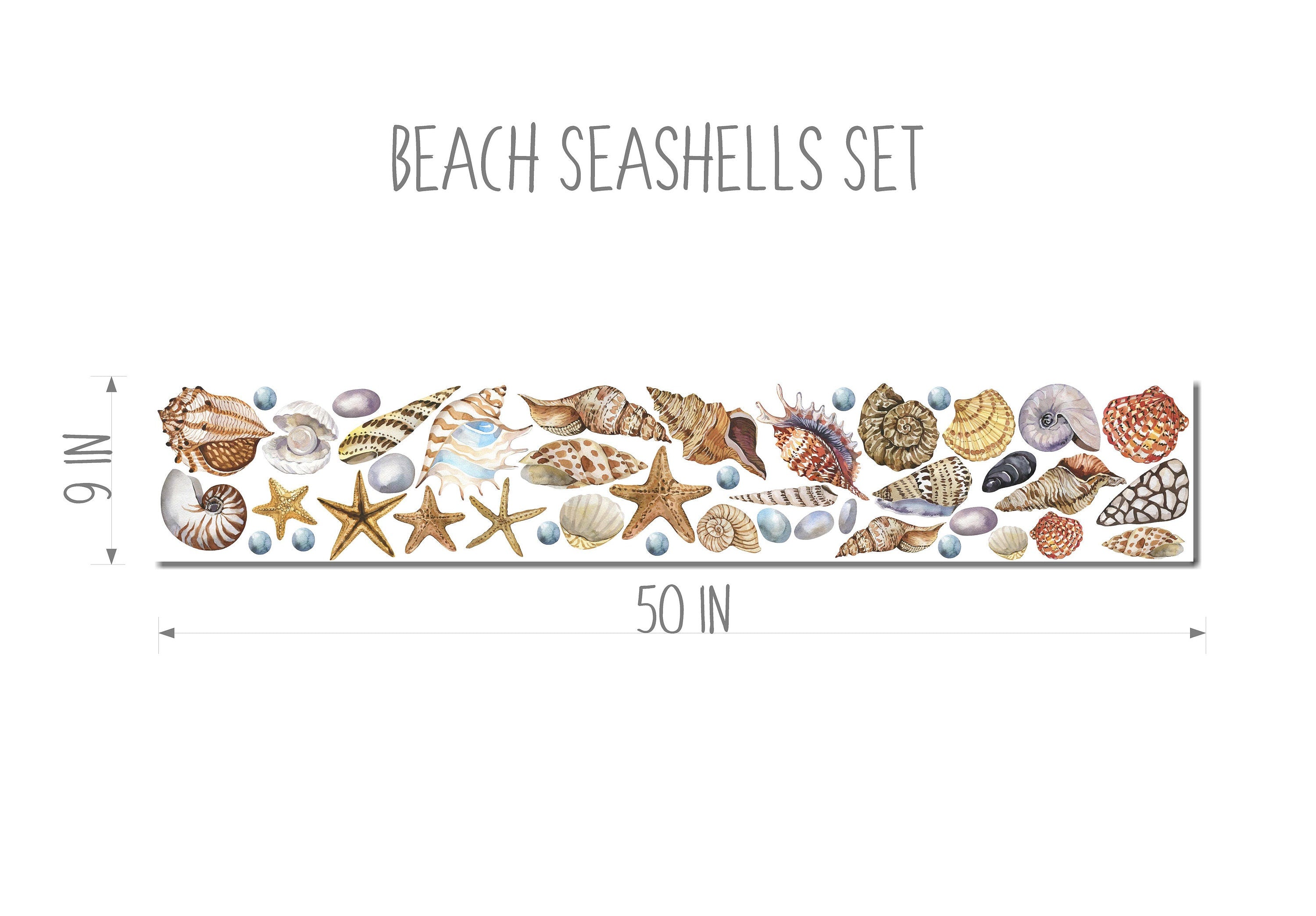 Beach Seashells Wall Decal Set Nautical Ocean Sea Shells Starfish Wall Sticker