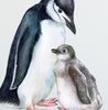 Mother & Baby Penguin Wall Decal | Ocean Collection