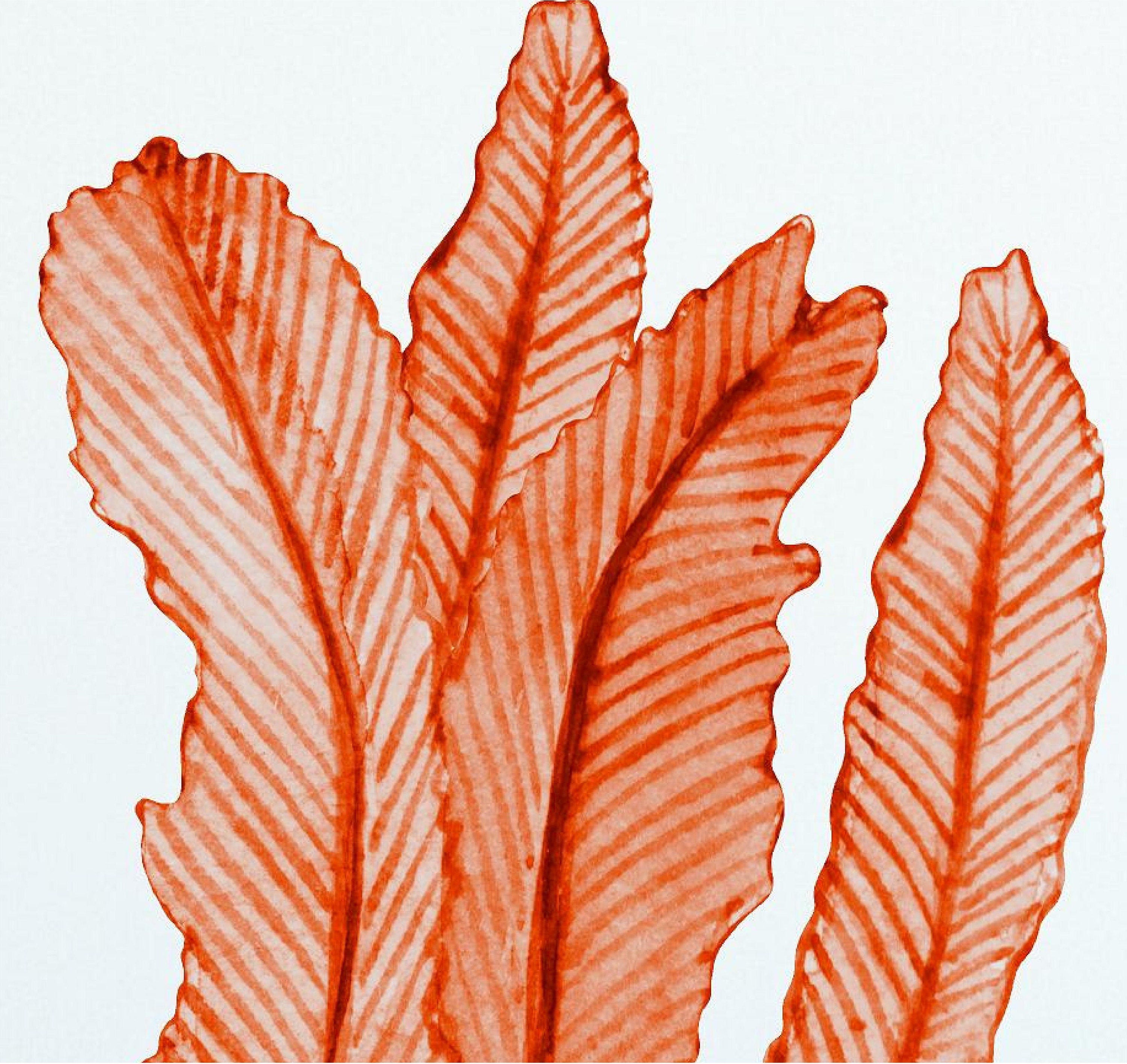 Orange Seaweed #1 Wall Decal Ocean Sea Life Removable Fabric Wall Sticker