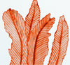 Orange Seaweed #1 Wall Decal Ocean Sea Life Removable Fabric Wall Sticker