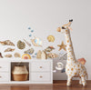 Beach Seashells Wall Decal Set Nautical Ocean Sea Shells Starfish Wall Sticker