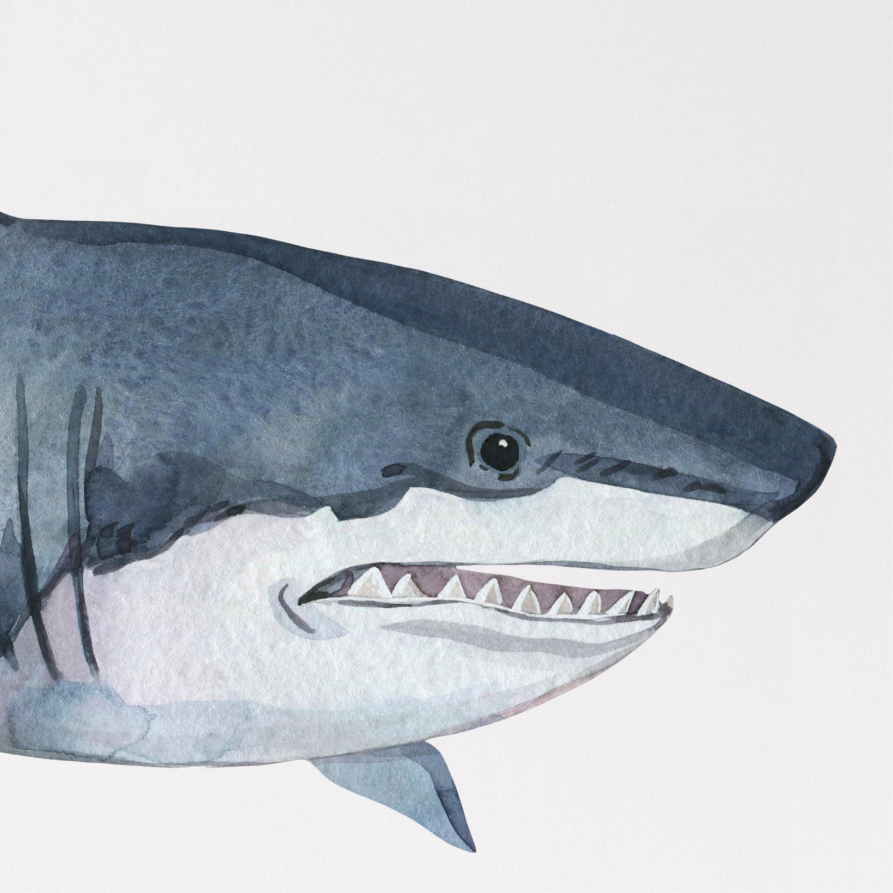 Whimsical Ocean Great White Shark Wall Decal Sticker Removable | Sea Nursery Decor | Repositionable Fabric Decal | Peel and Stick