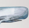 Whimsical Sperm Whale Wall Decal Sticker Removable | Ocean Sea Whale Nursery Decor | Repositionable Fabric Decal | Peel and Stick
