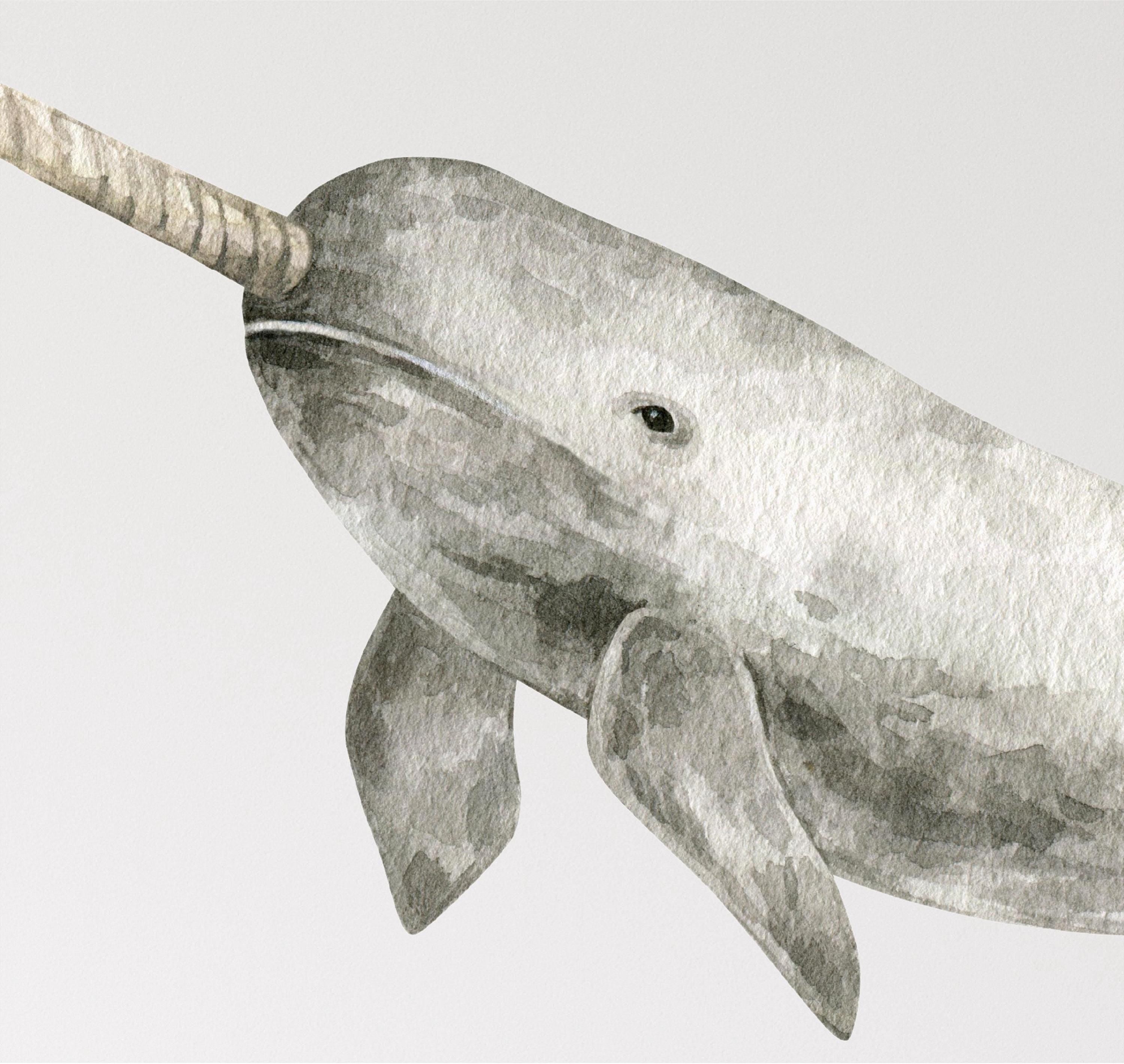 Whimsical Narwhal Fabric Wall Decal - Sea Whale Ocean Animal - Removable Nursery Sticker for Baby Room Decor